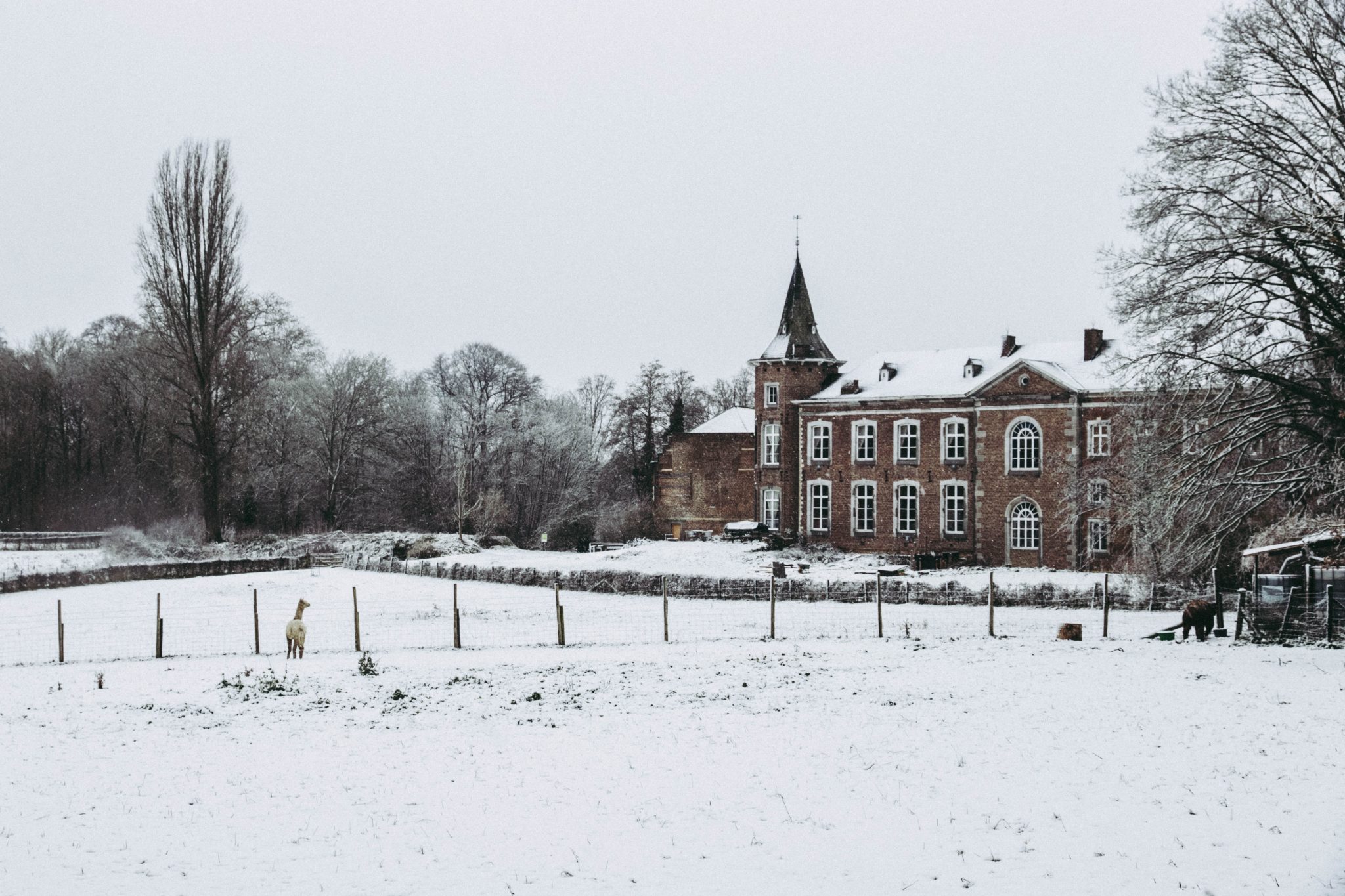 Galerij sneeuw in Nieuwenhoven