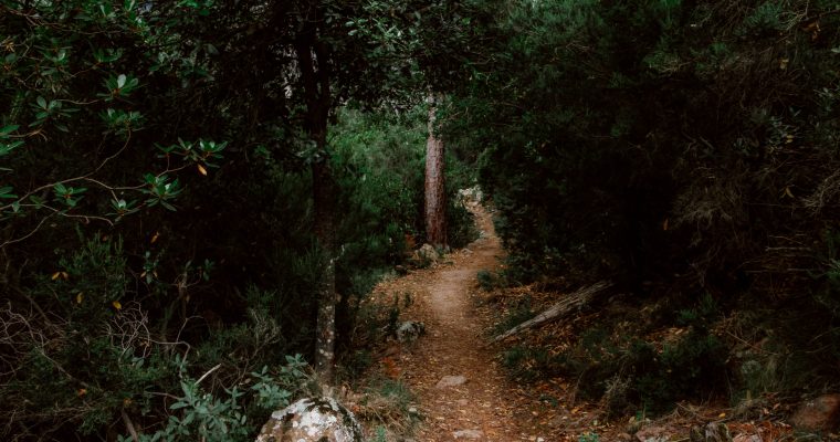 Forêt de Bonifatu: afkoelen in de bossen van Corsica