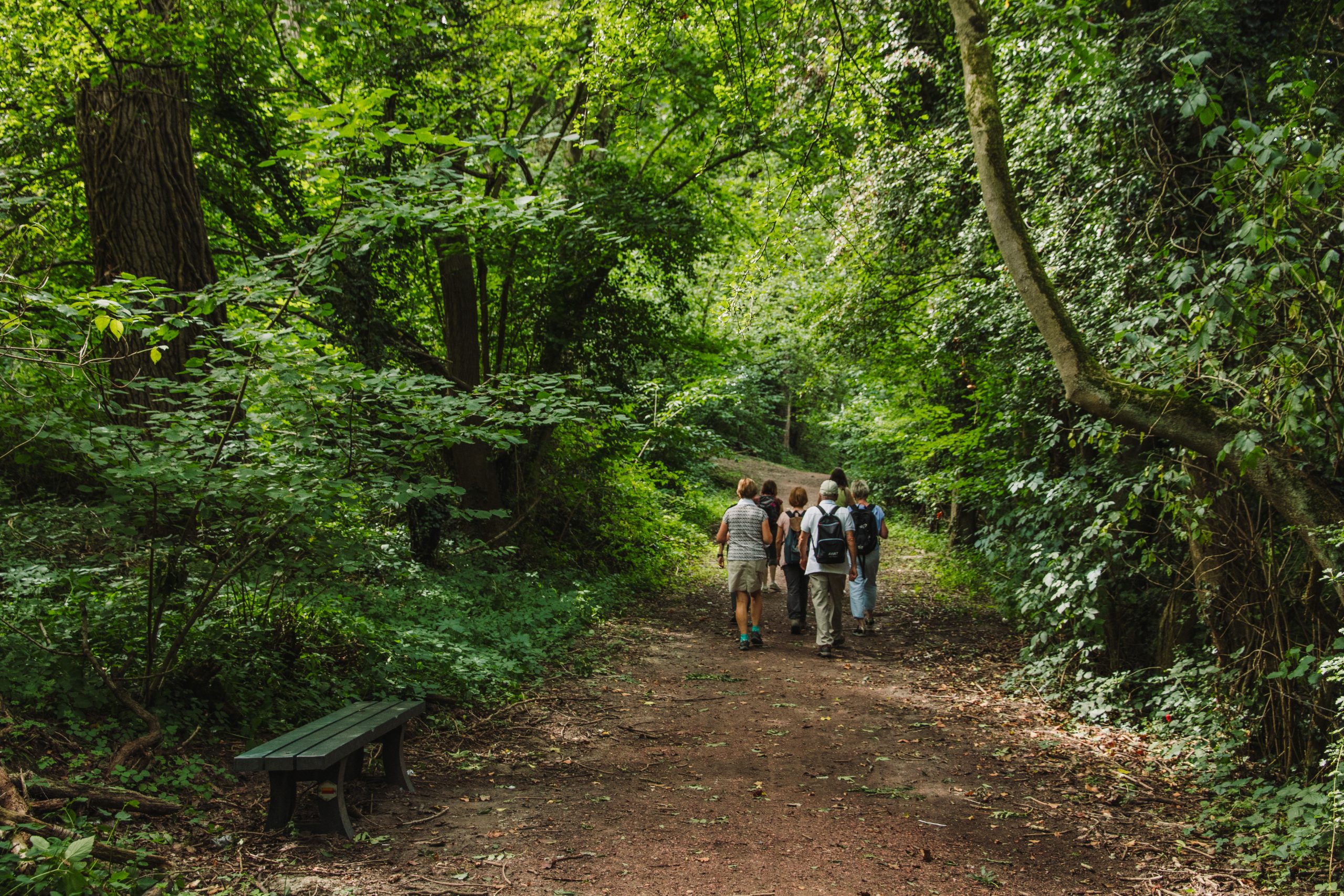 Blogwandeling Alden-Biesen: een feestje in de bossen en het landschap van Bilzen