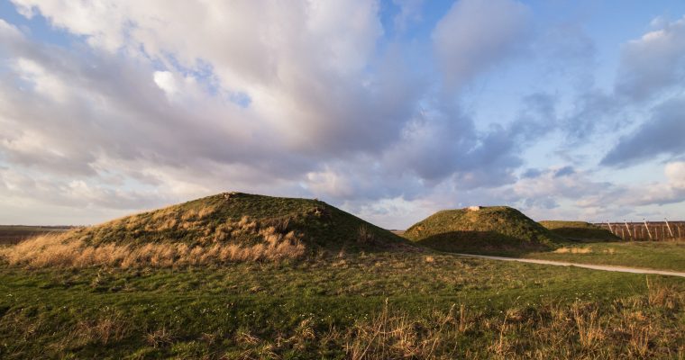 De Gallo-Romeinse tumuli in Gingelom: ontdek een stukje geschiedenis tijdens deze wandeling (4 km)