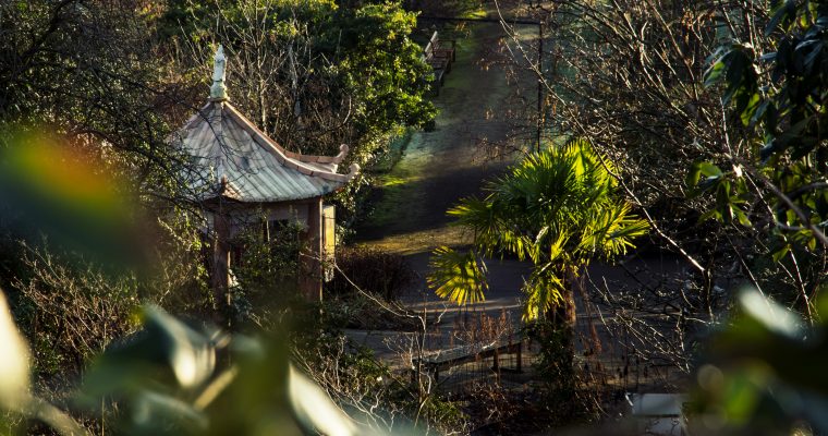 The Royal Botanic Garden in Edinburgh: jungle fever & eekhoornpret