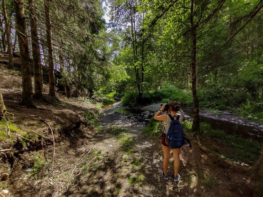 Ardennen wandeling Tina Sauwens Solivagant